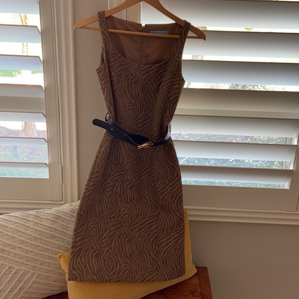 Gorgeous Antonio Melani dress